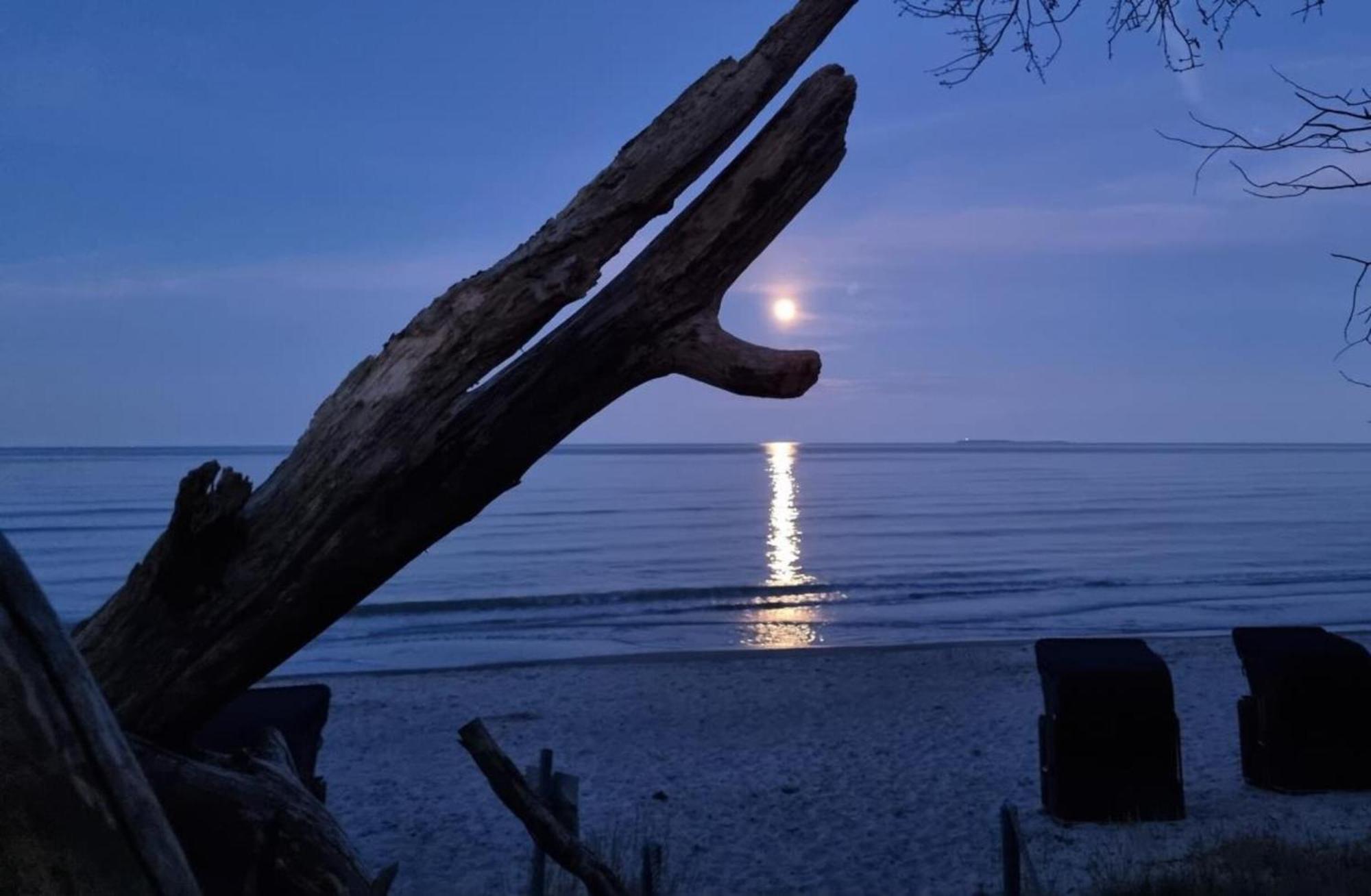 Traumhaftes Appartement - Odins Blick Wohnung 13 , Sauna Und Privatstrand, Blick Zur Ostsee Lobbe Extérieur photo